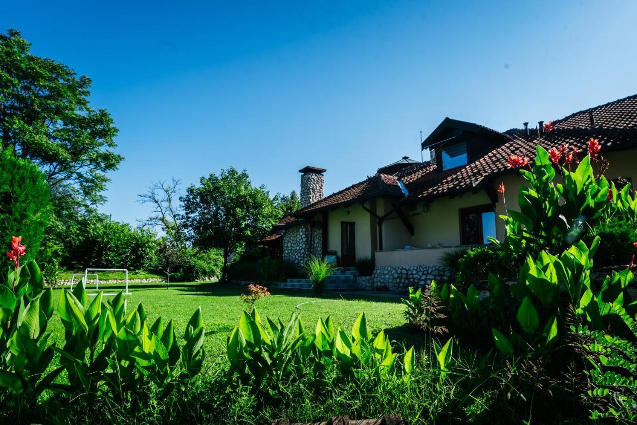 Atos Srebrno Jezero - Villa And Restaurant Veliko Gradiste Exterior photo