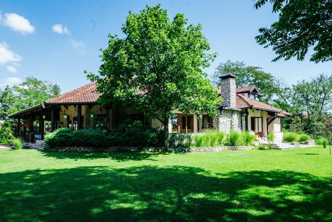 Atos Srebrno Jezero - Villa And Restaurant Veliko Gradiste Exterior photo